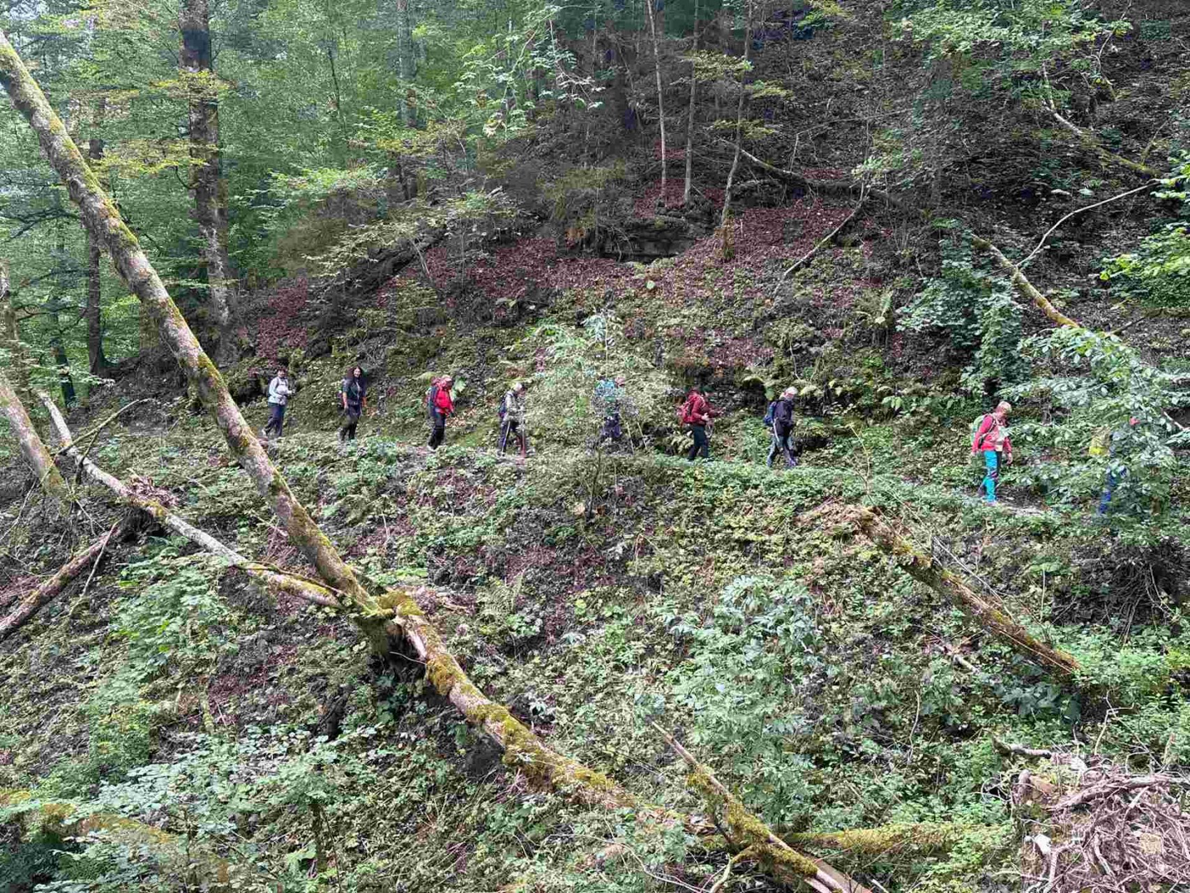 	14 3 Tage auf dem Schluchtensteig im Südschwarzwald